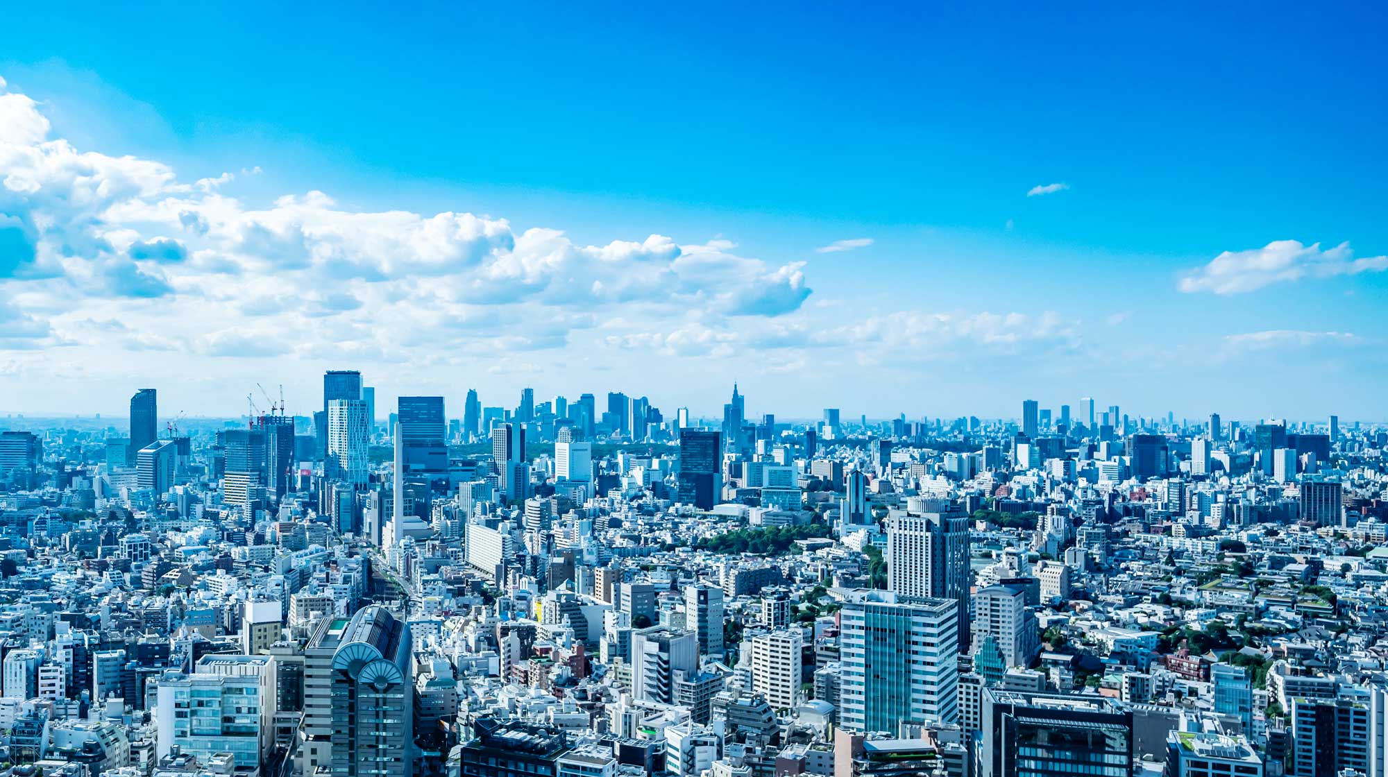 メインビジュアル画像