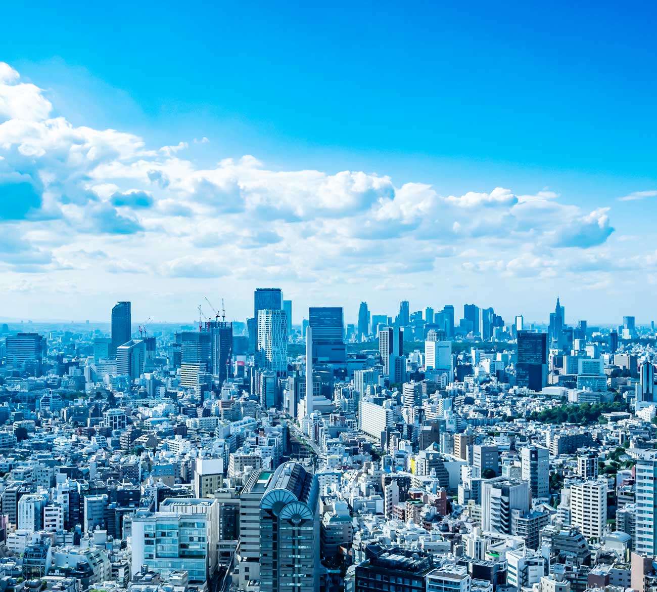 メインビジュアル画像