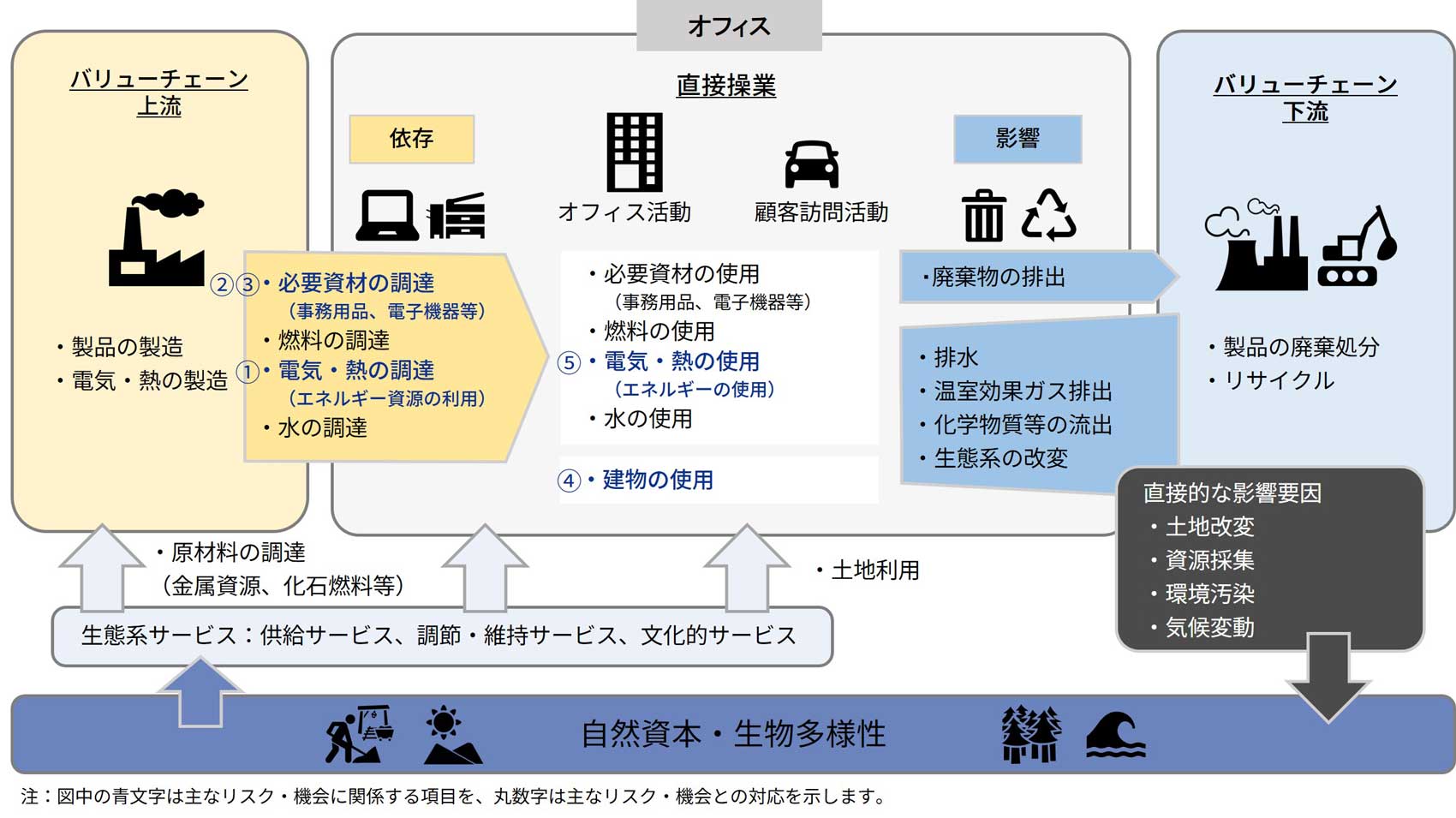 バリューチェーン全体における自然資本・生物多様性への依存と影響の概念