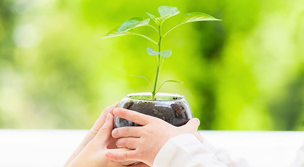 サステナビリティマネジメント